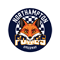 Leicester lions